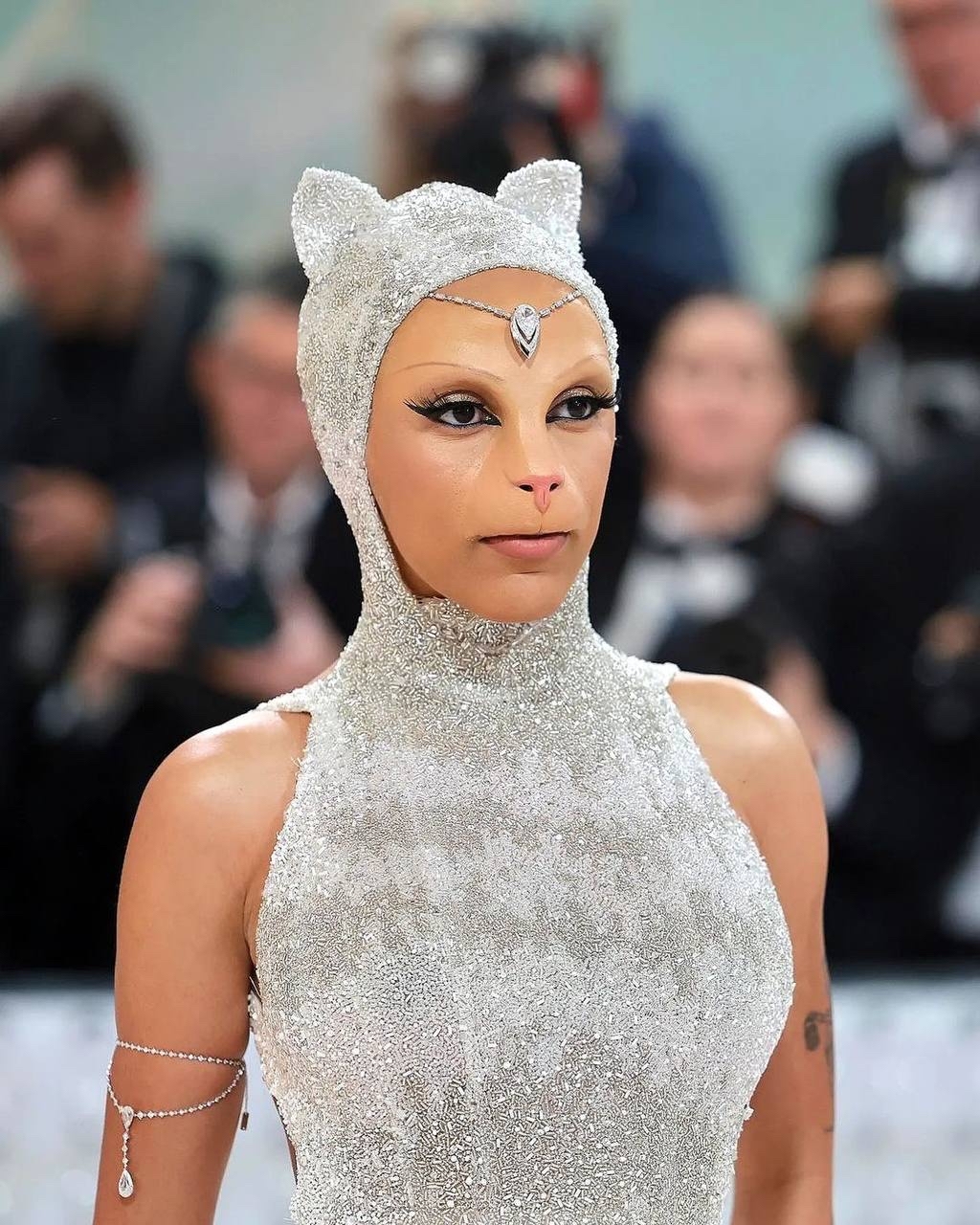 Упоротые котики на Met Gala 2023 | Пикабу