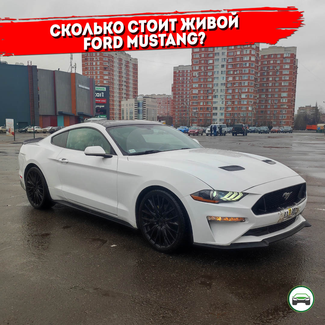 Как купить живой Ford Mustang? | Пикабу