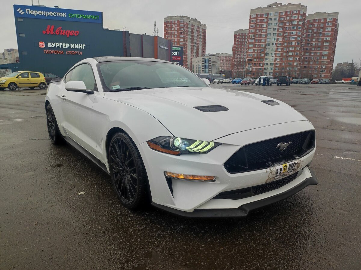 Как купить живой Ford Mustang? | Пикабу