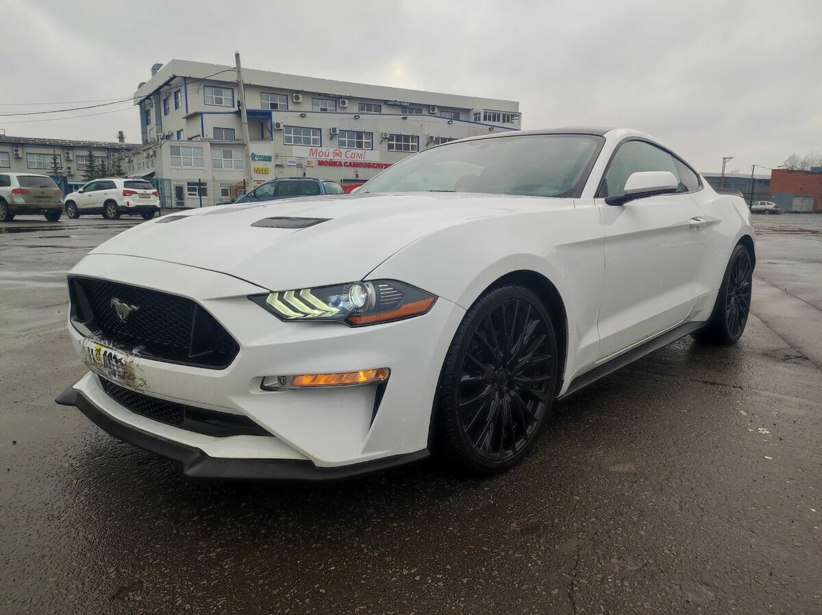 Как купить живой Ford Mustang? | Пикабу