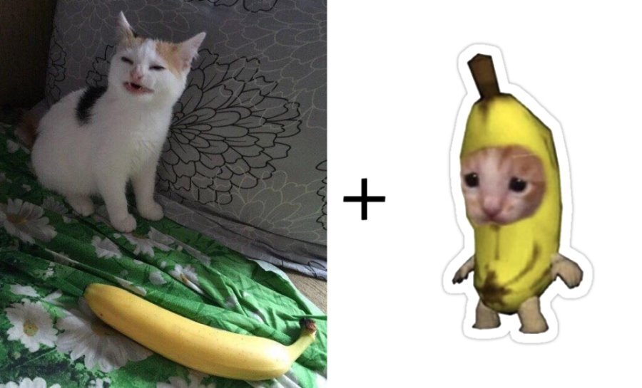 Кот банан. Кот в ба6ане. Кот с бананом картина. Кот банан мягкая игрушка. Можно ли кошкам банан