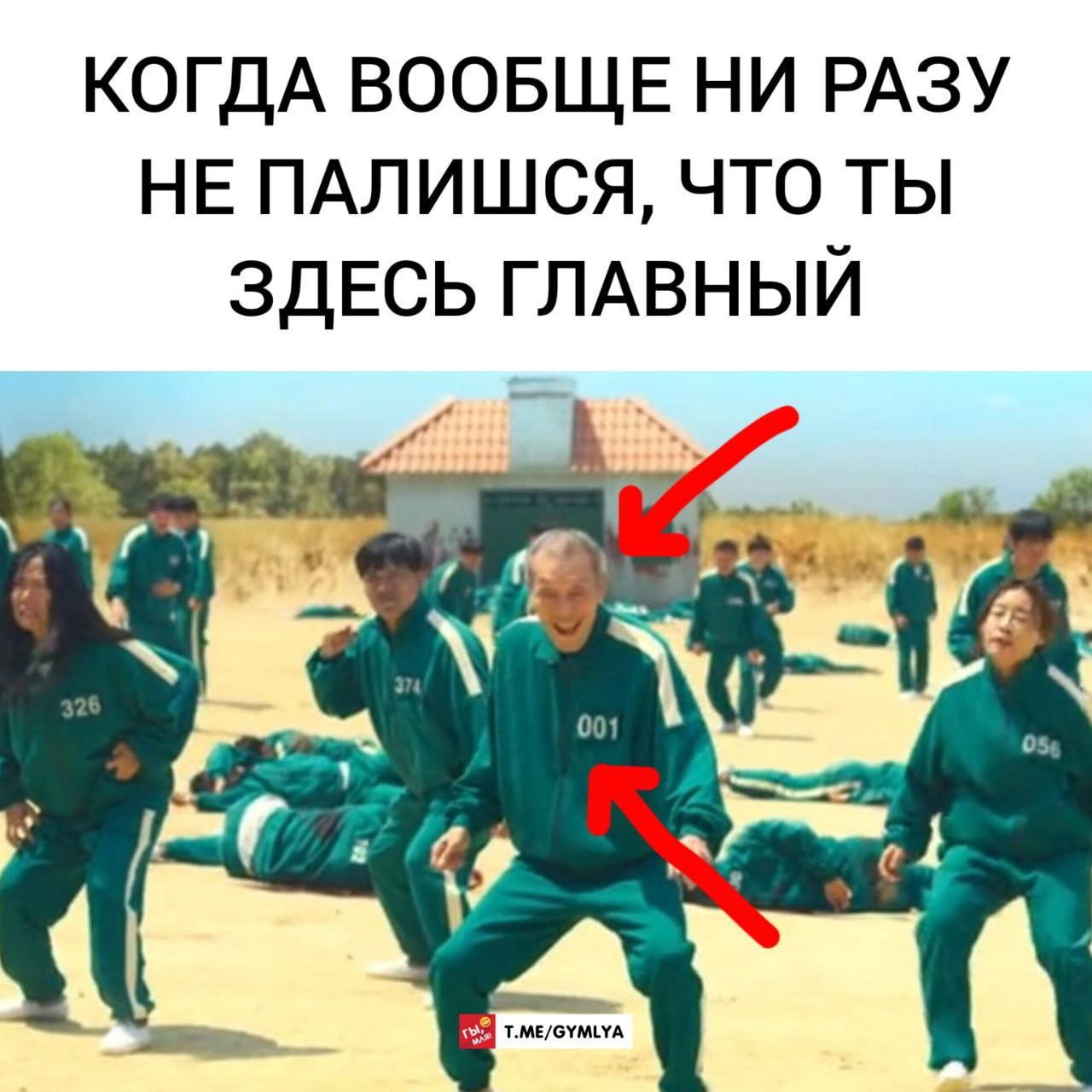 А чо все такие кислые? | Пикабу