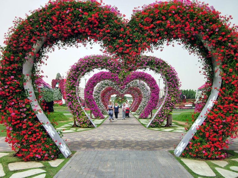 Самый большой в мире природный парк цветов: “Dubai Miracle Garden” | Пикабу