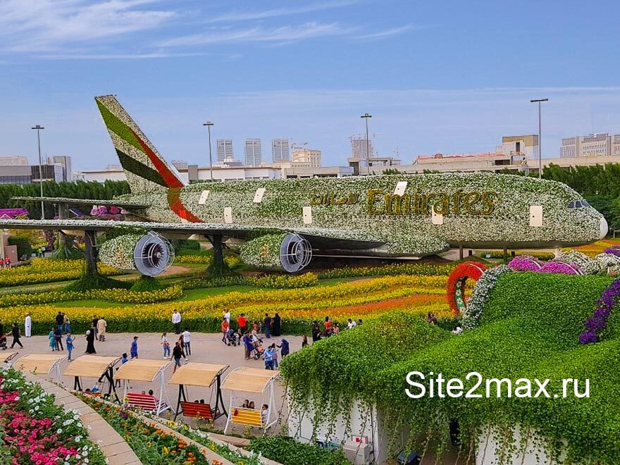 Самый большой в мире природный парк цветов: “Dubai Miracle Garden” | Пикабу