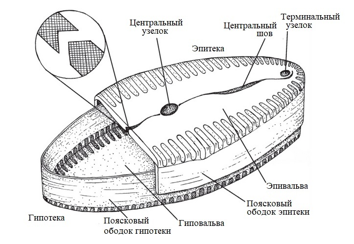 Красота и здоровье до -50%