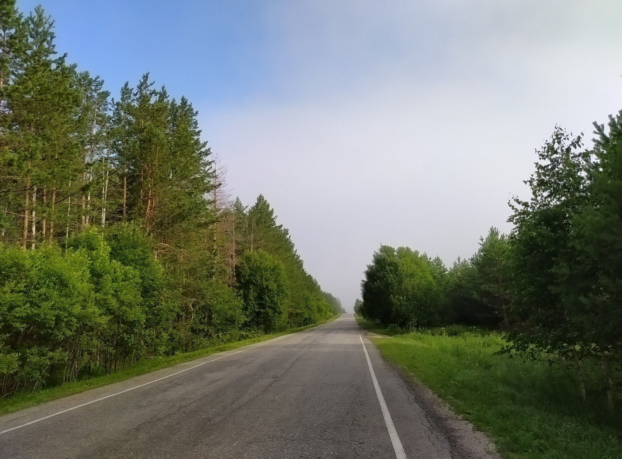 По дороге, сквозь утренний мир | Пикабу