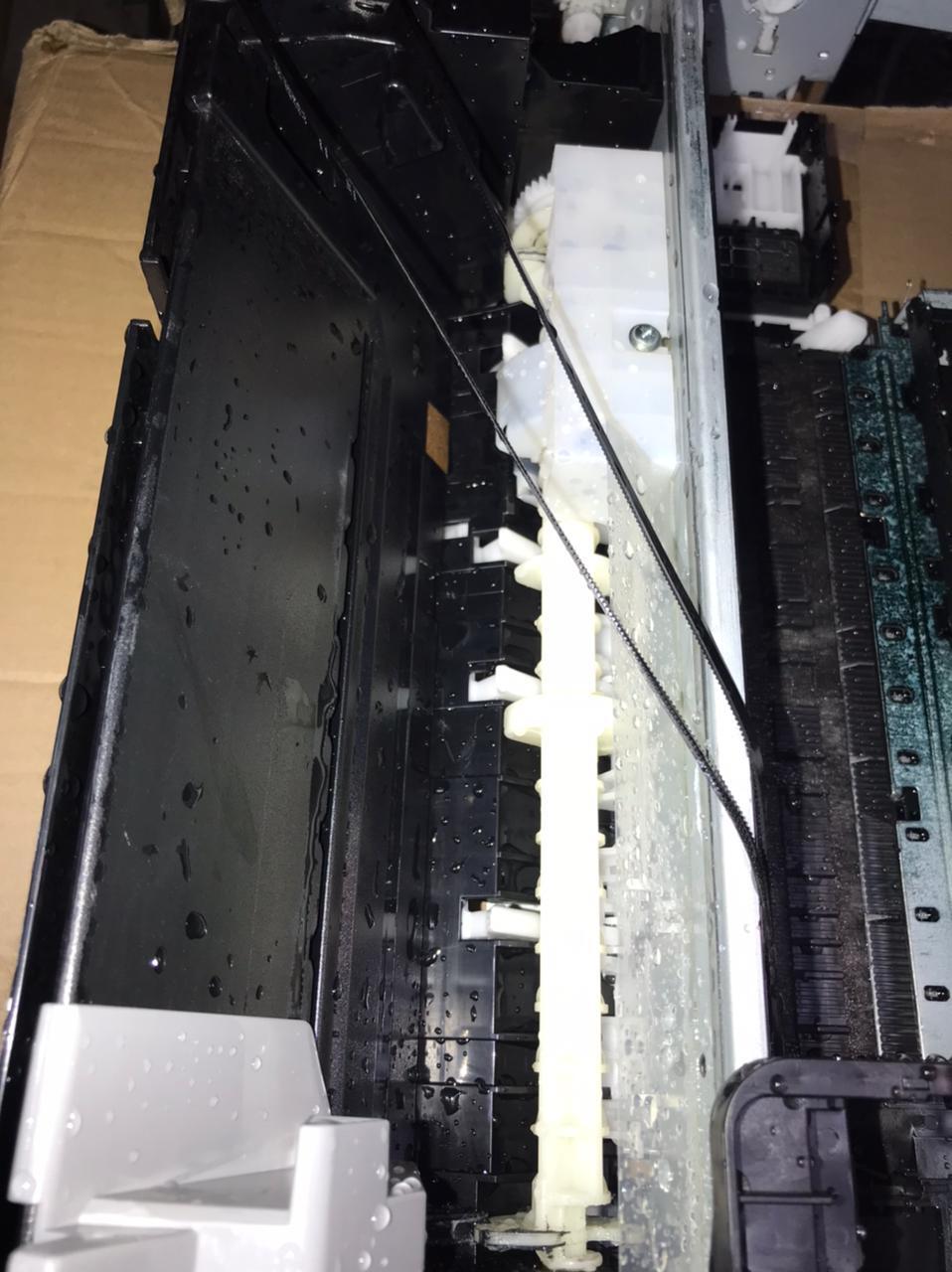 Epson L805, ошибка сенсора PW | Пикабу