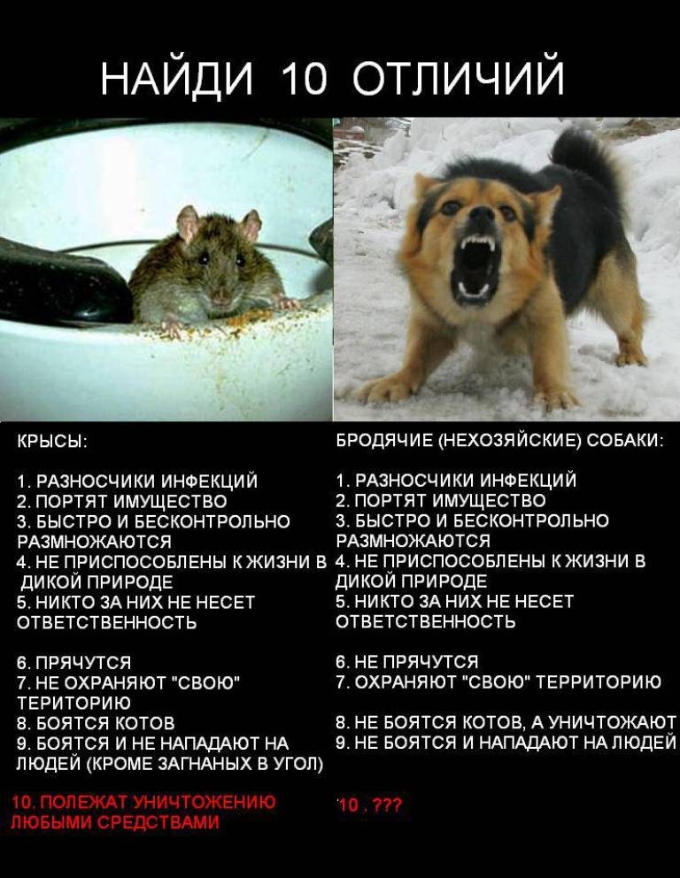 Отличия | Пикабу