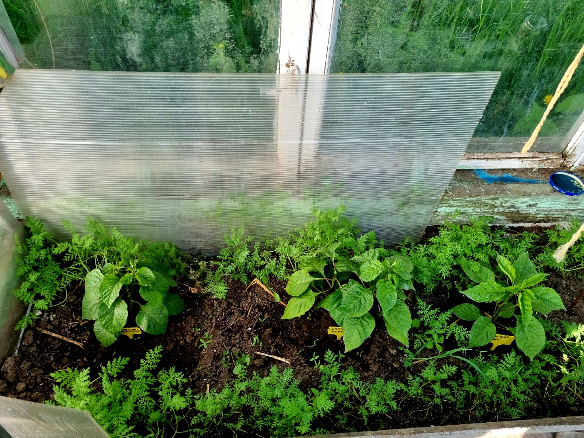 2й Сезон грунта открыт | Пикабу