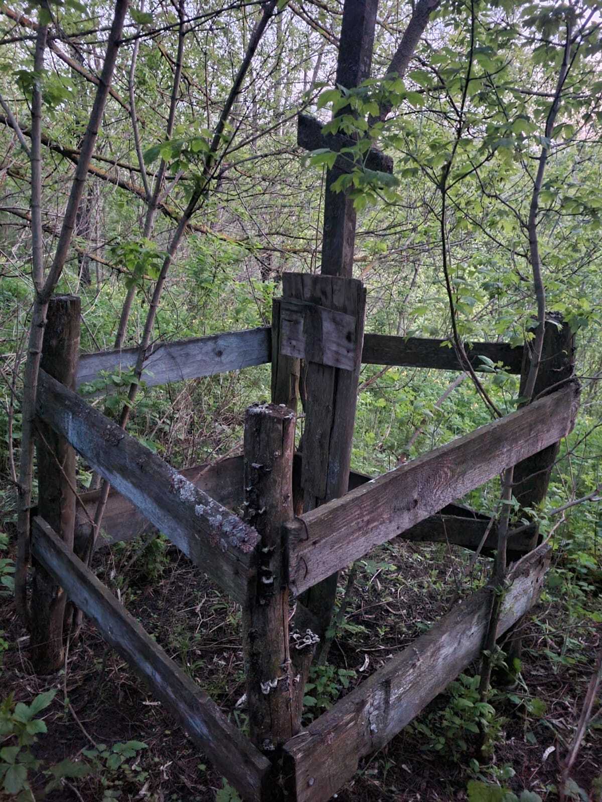 Ответ на пост «Мой дедушка» | Пикабу