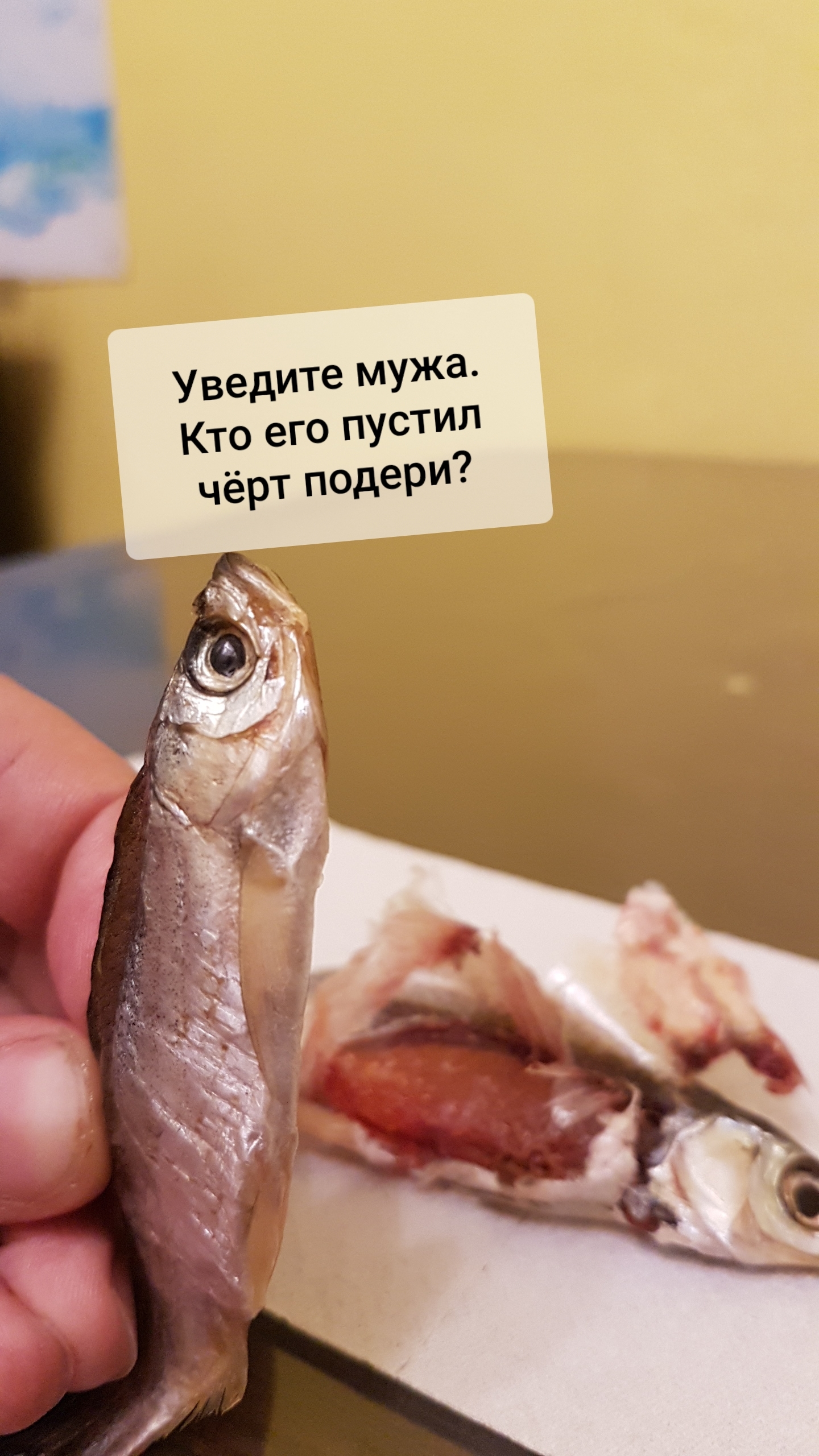 Роды у рыб | Пикабу