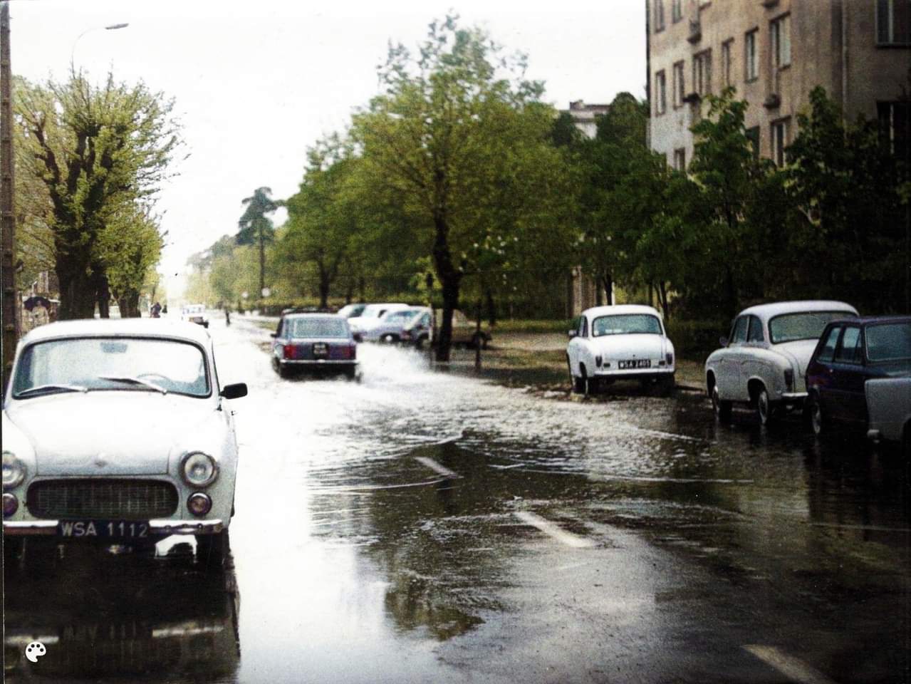 Лужа | Пикабу