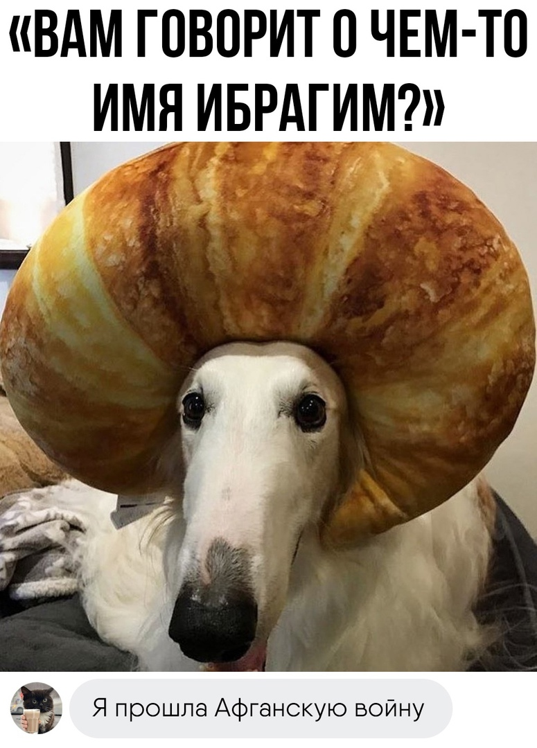 Ибрагим | Пикабу