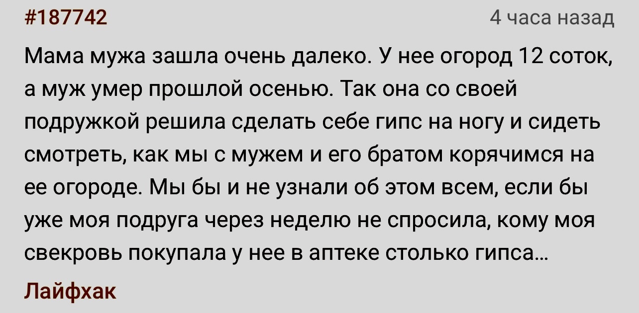 Хитрая свекровь | Пикабу