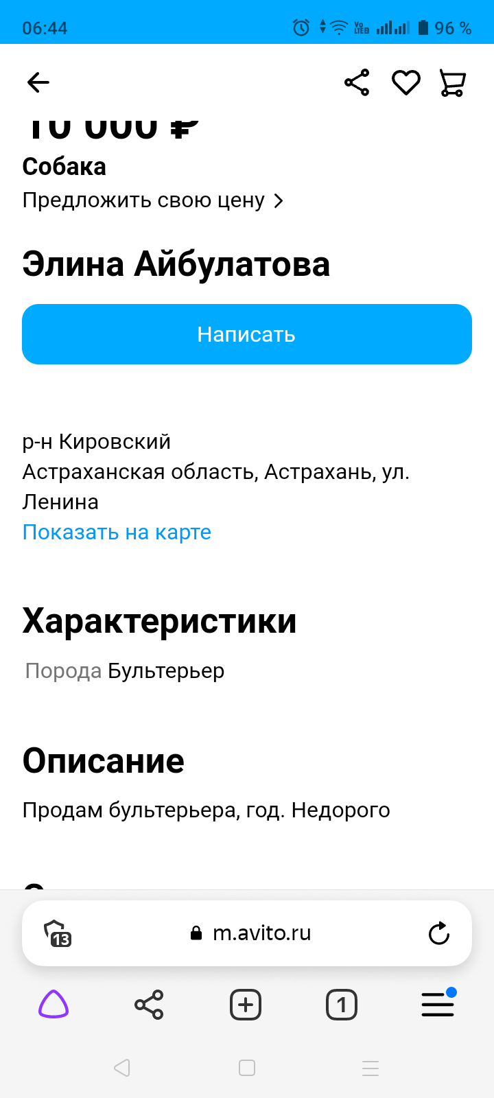 Когда ты очень агрессивная собака,тебе место только на Авито | Пикабу