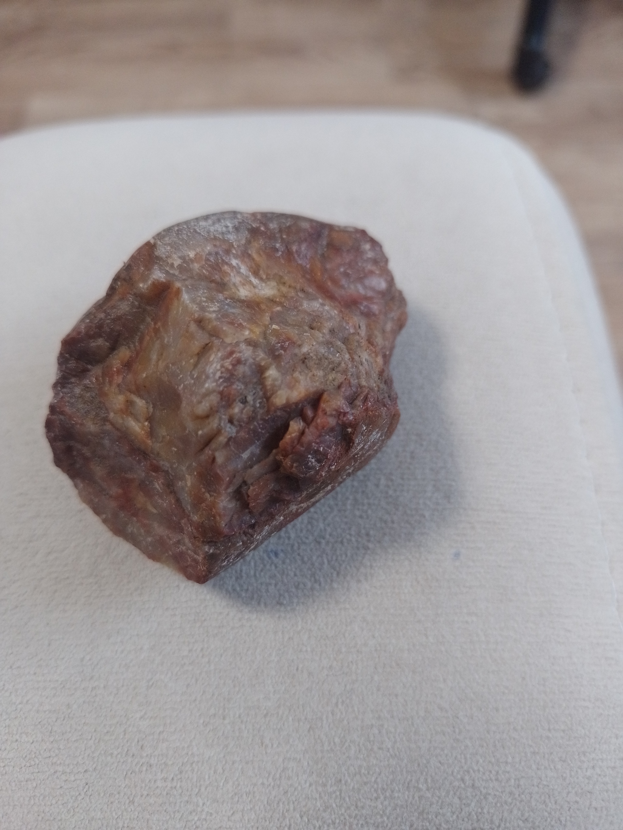 Камень или кусок мяса? | Пикабу