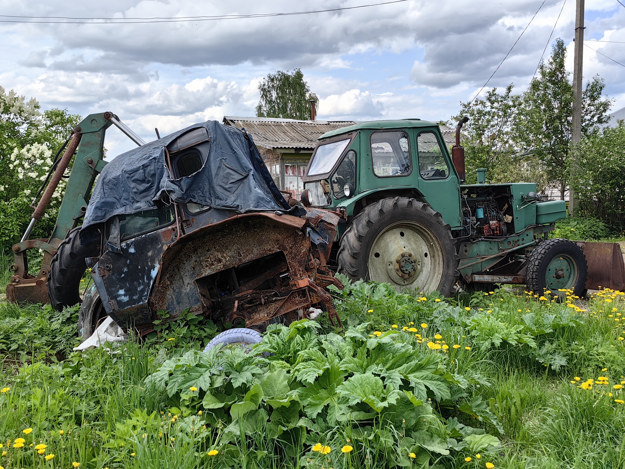 дом собака и трактор (96) фото