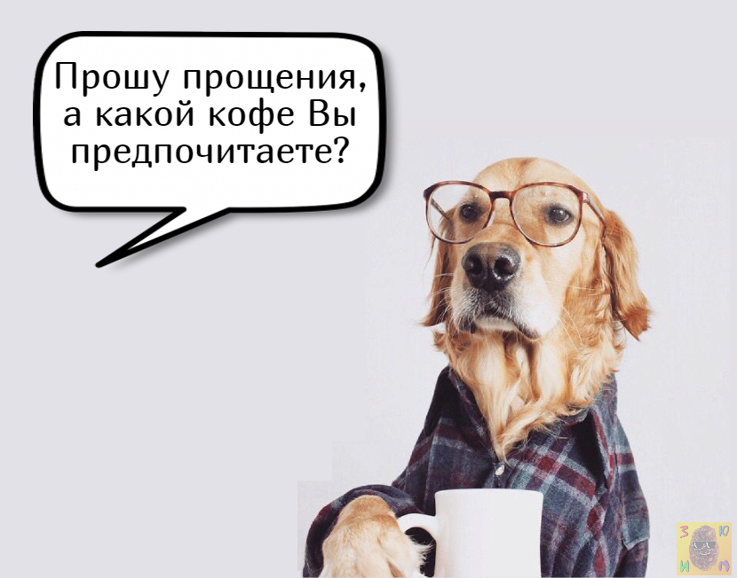 Моя собака говорит. Моя собака говорит