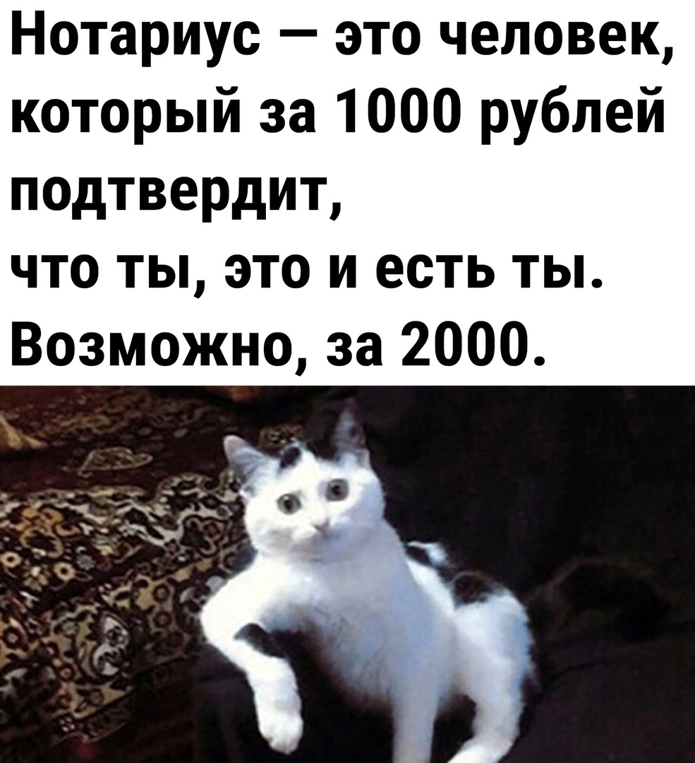 Коротко о нотариусах | Пикабу