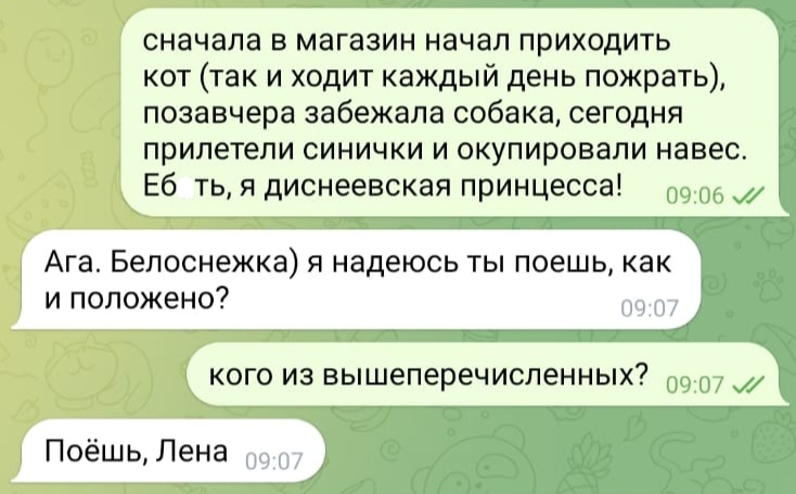 О важности буквы "Ё" | Пикабу