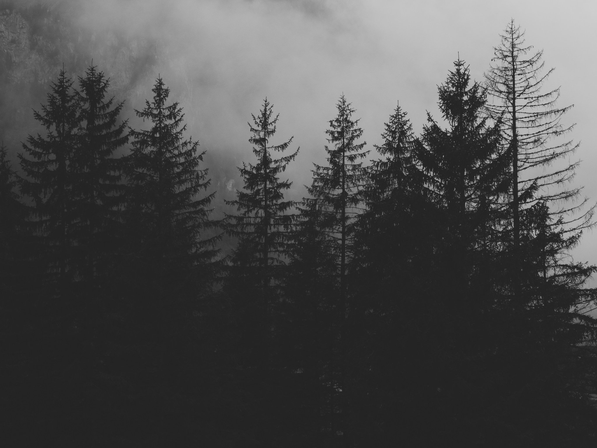 Стих1... | Пикабу