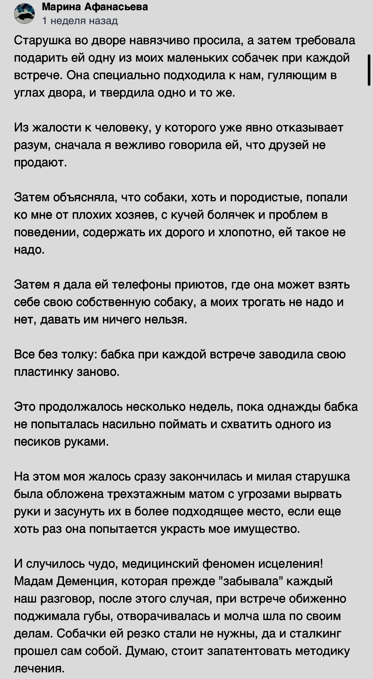 Отдать собаку: забота или предательство?