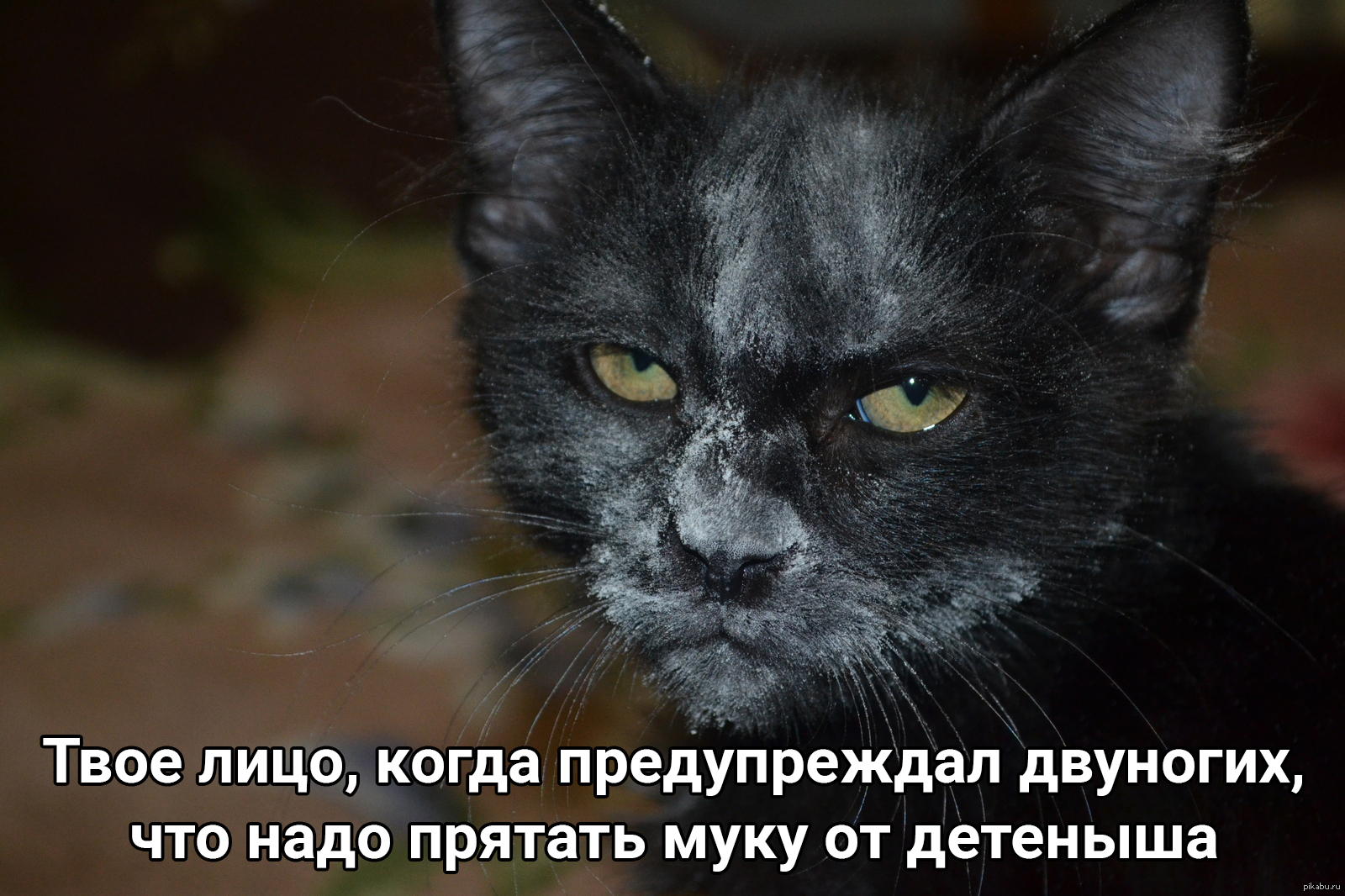 Тишина в детской: 5 намеков о сюрпризах для родителей и их кошелька | Пикабу