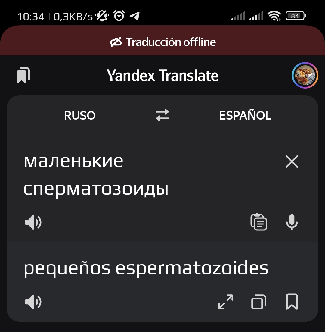 Яндекс - переводчик, иди проспись | Пикабу