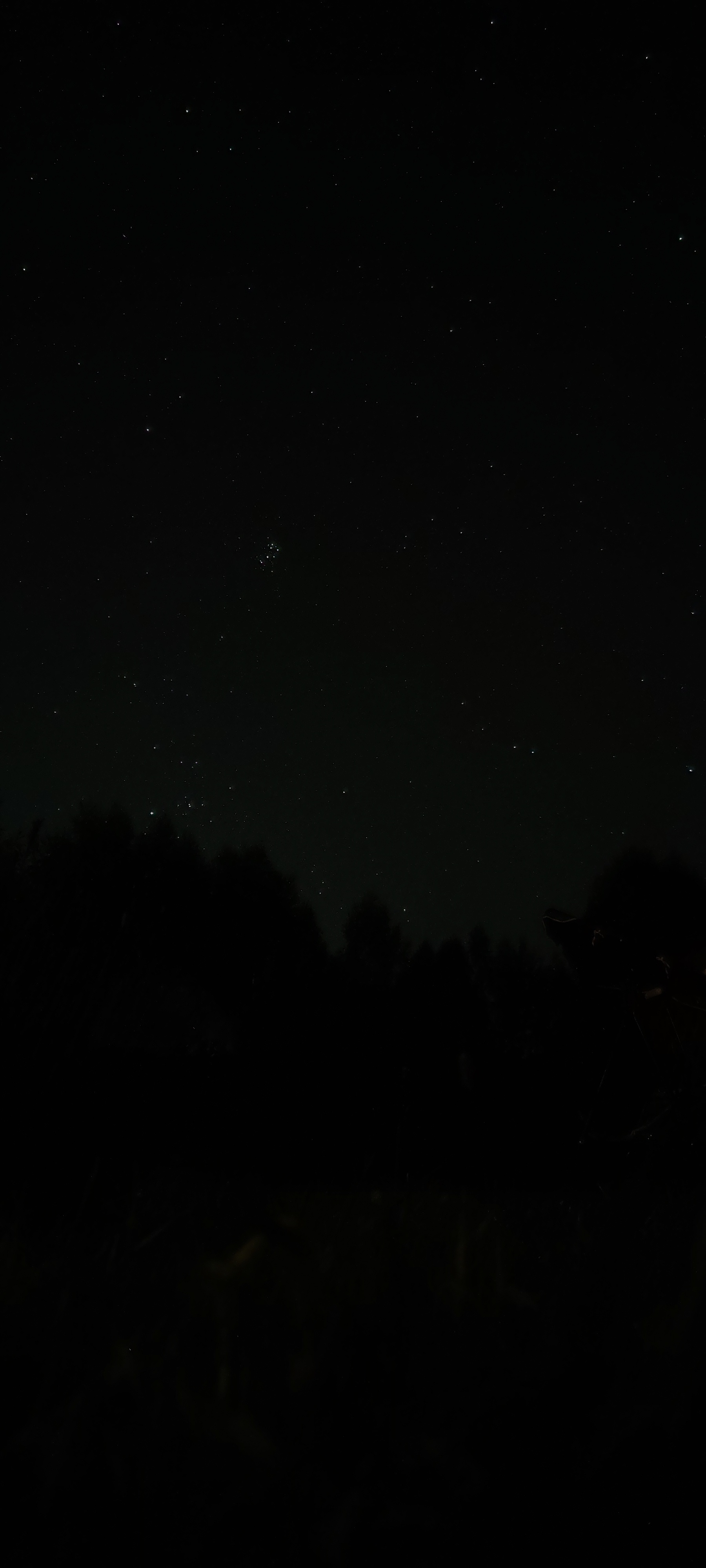 Из архива, на телефон | Пикабу