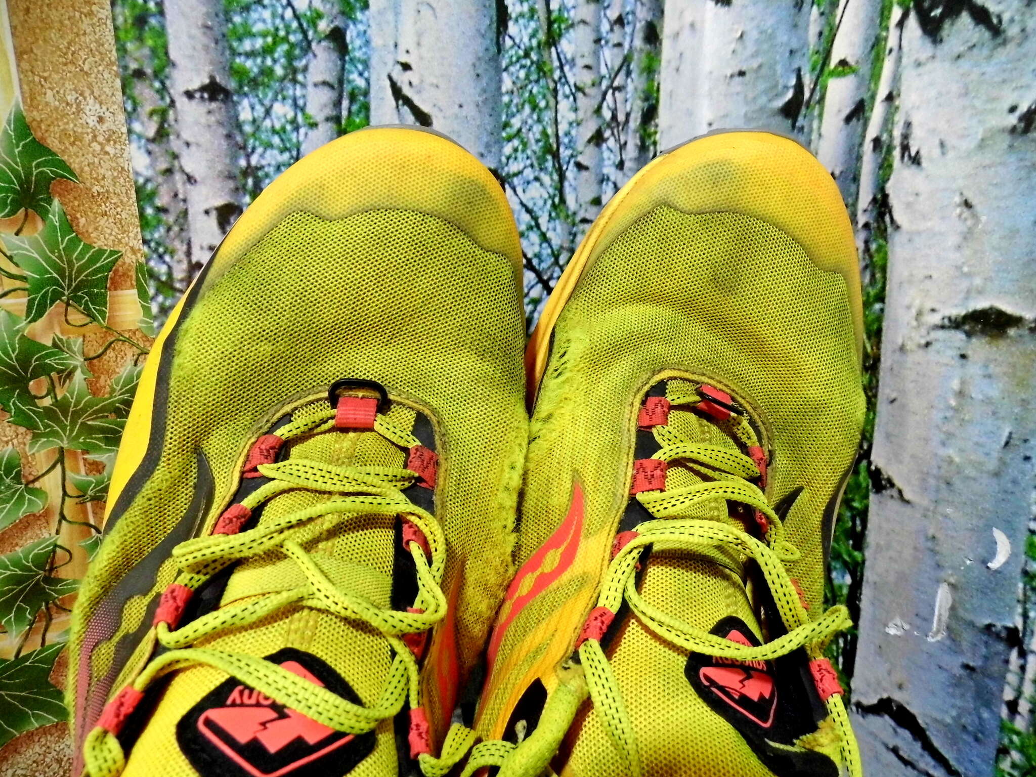 Кроссовки Saucony немного измазались: выполняем клеанинг! | Пикабу