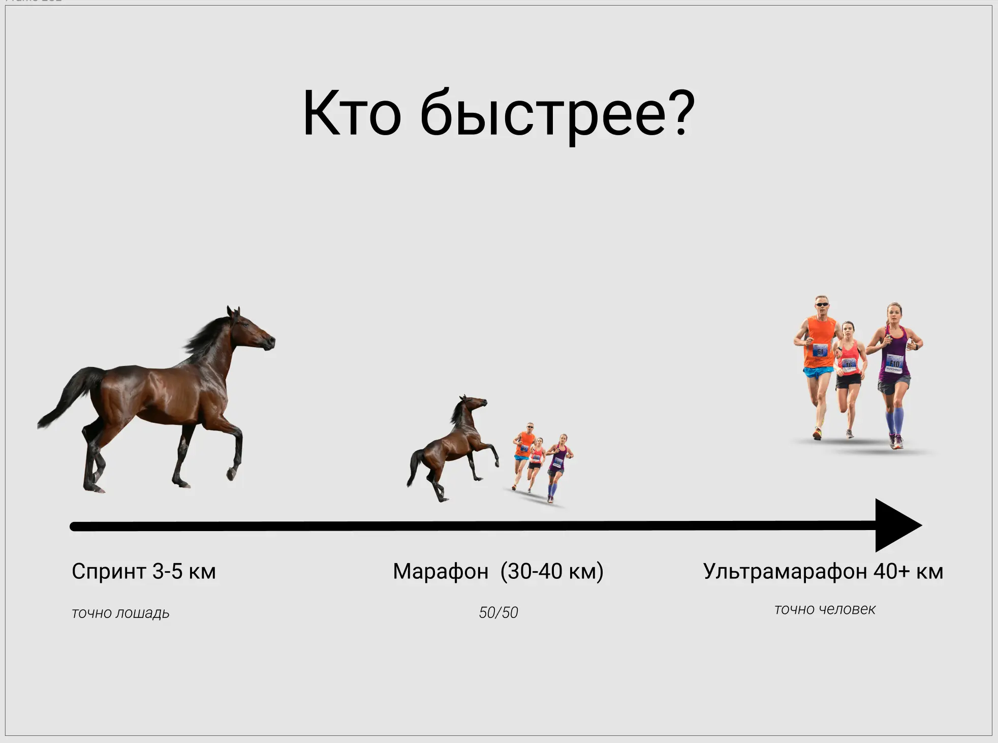 Почему человек стал человеком? Из-за мозга или ягодичной мышцы? | Пикабу