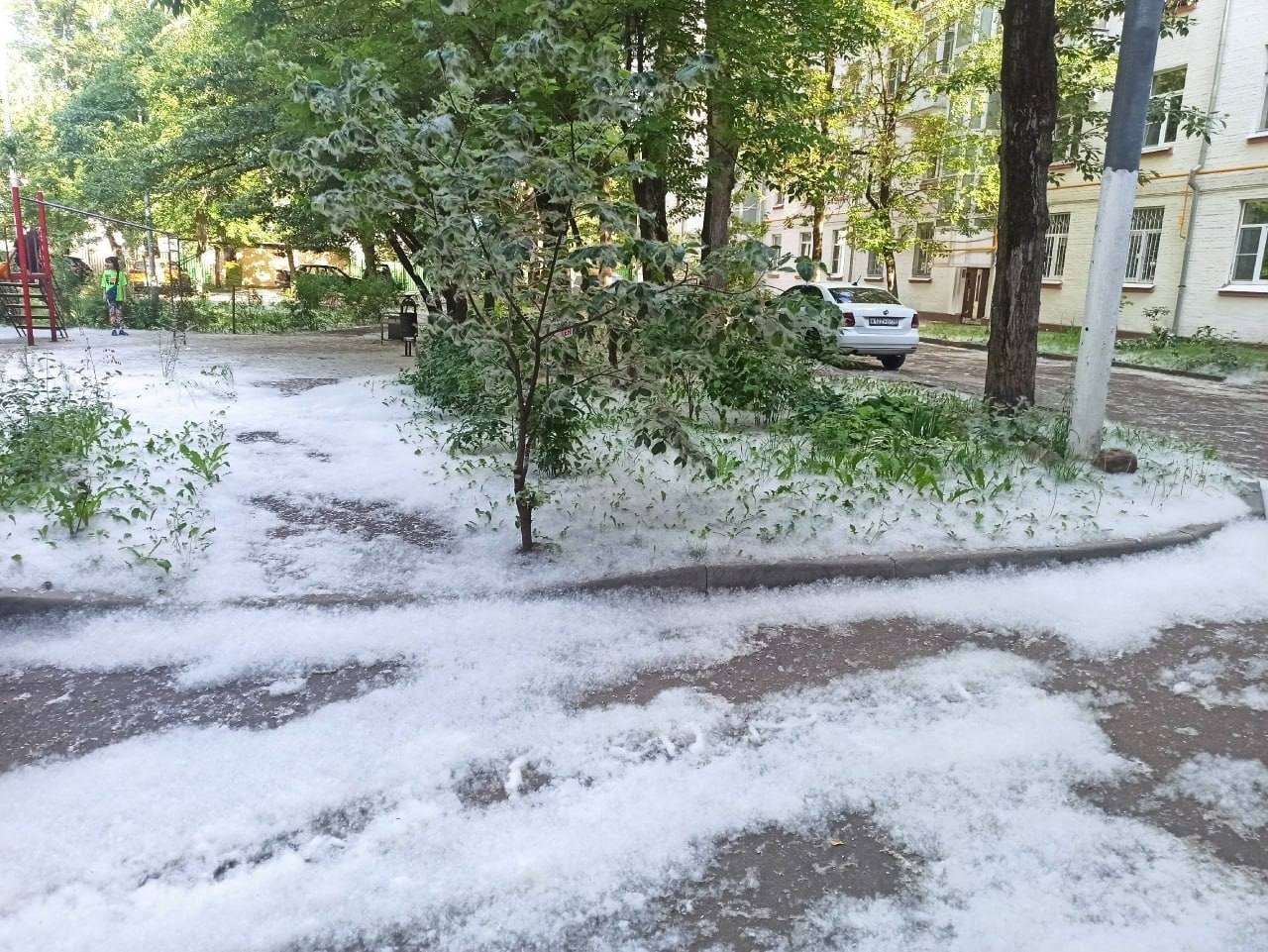 Москва белоснежная или страшный сон аллергиков | Пикабу