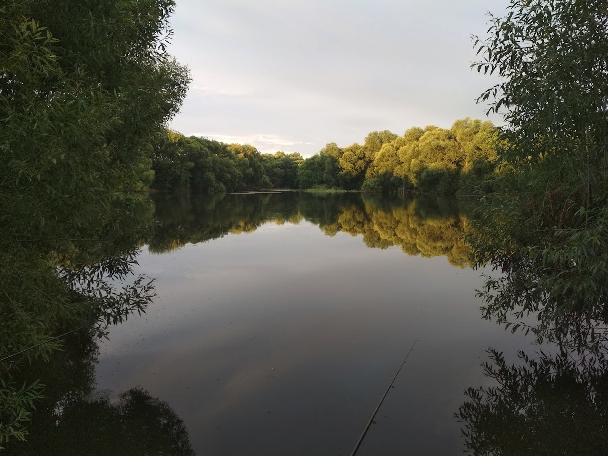 Рандомные фото водоемов, раков и рыбы | Пикабу