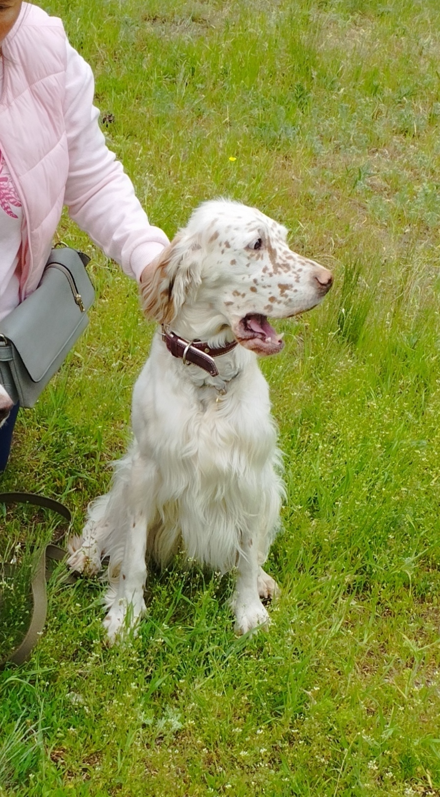 Бунд | Пикабу