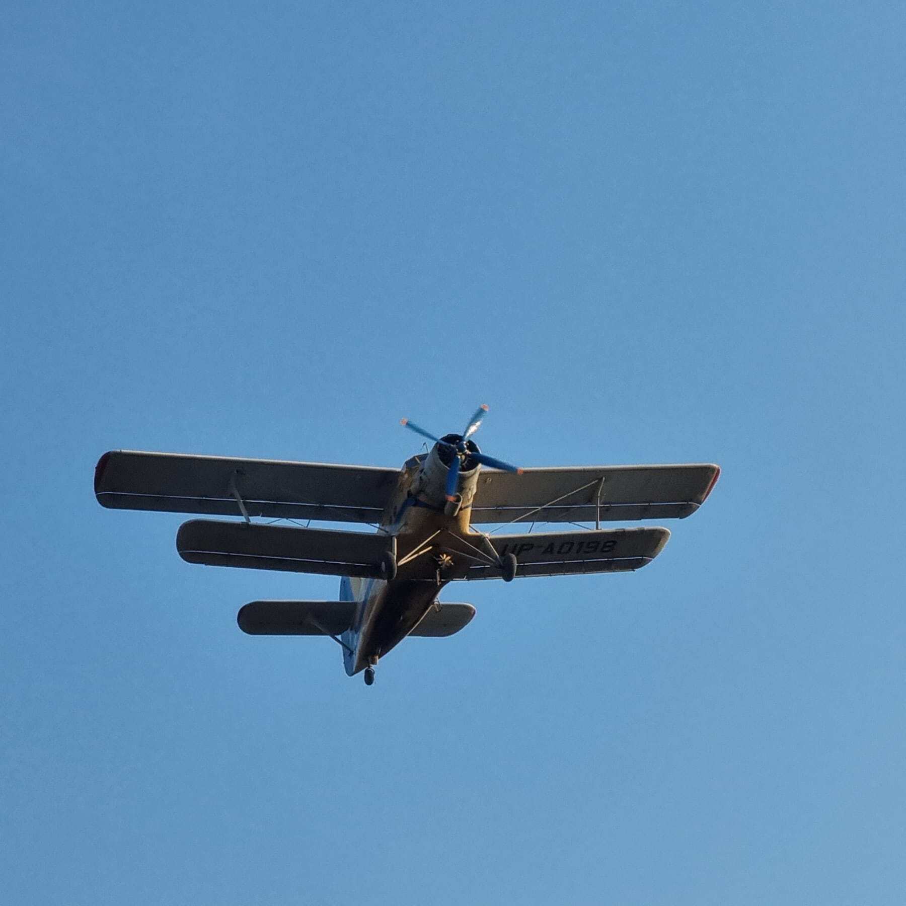 Alfabeto Fonetico Internazionale  Freeforumzone