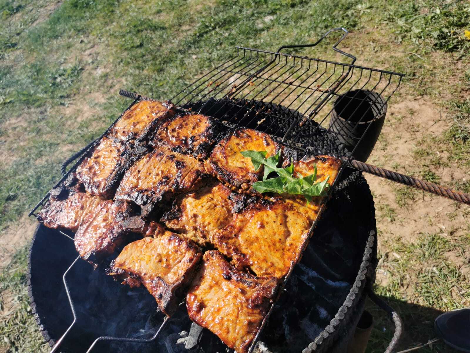 Не рыба не мясо, но когда дела такие, можно и влепить | Пикабу