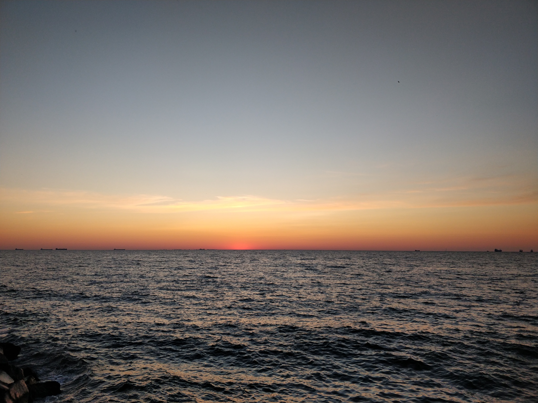 Солнце из-за заваленного горизонта тоже встало на бунд | Пикабу