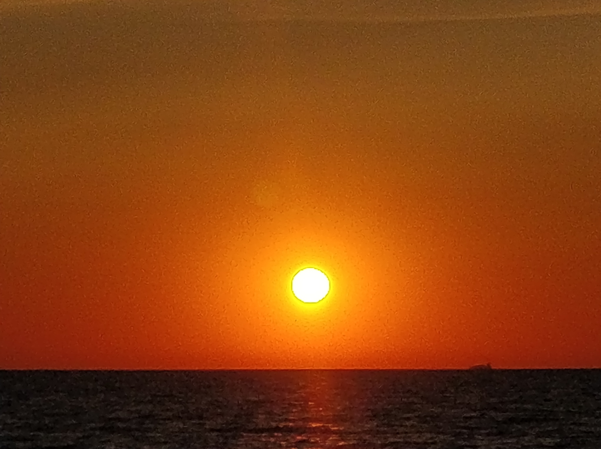 Солнце из-за заваленного горизонта тоже встало на бунд | Пикабу