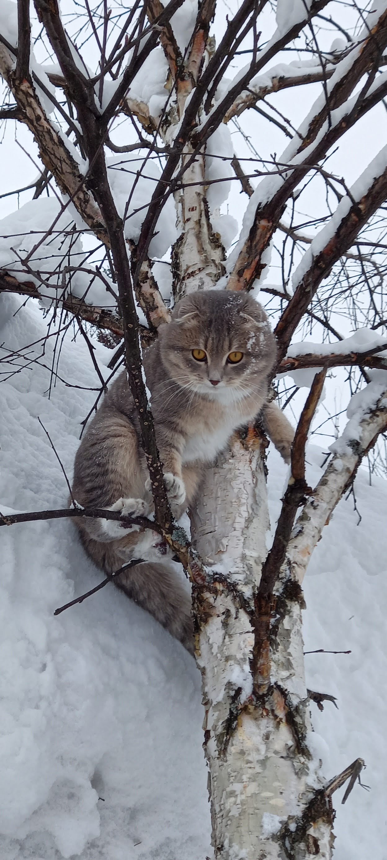 Фото с телефона | Пикабу