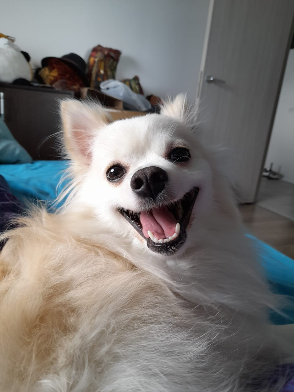 Сладкая булочка | Пикабу