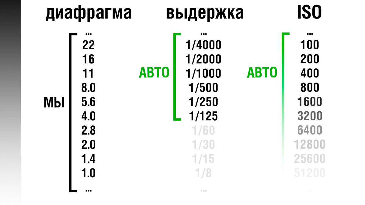 Как настроить фотоаппарат для большинства случаев | Пикабу