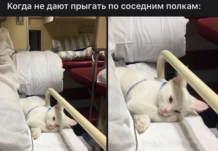 Грусть | Пикабу