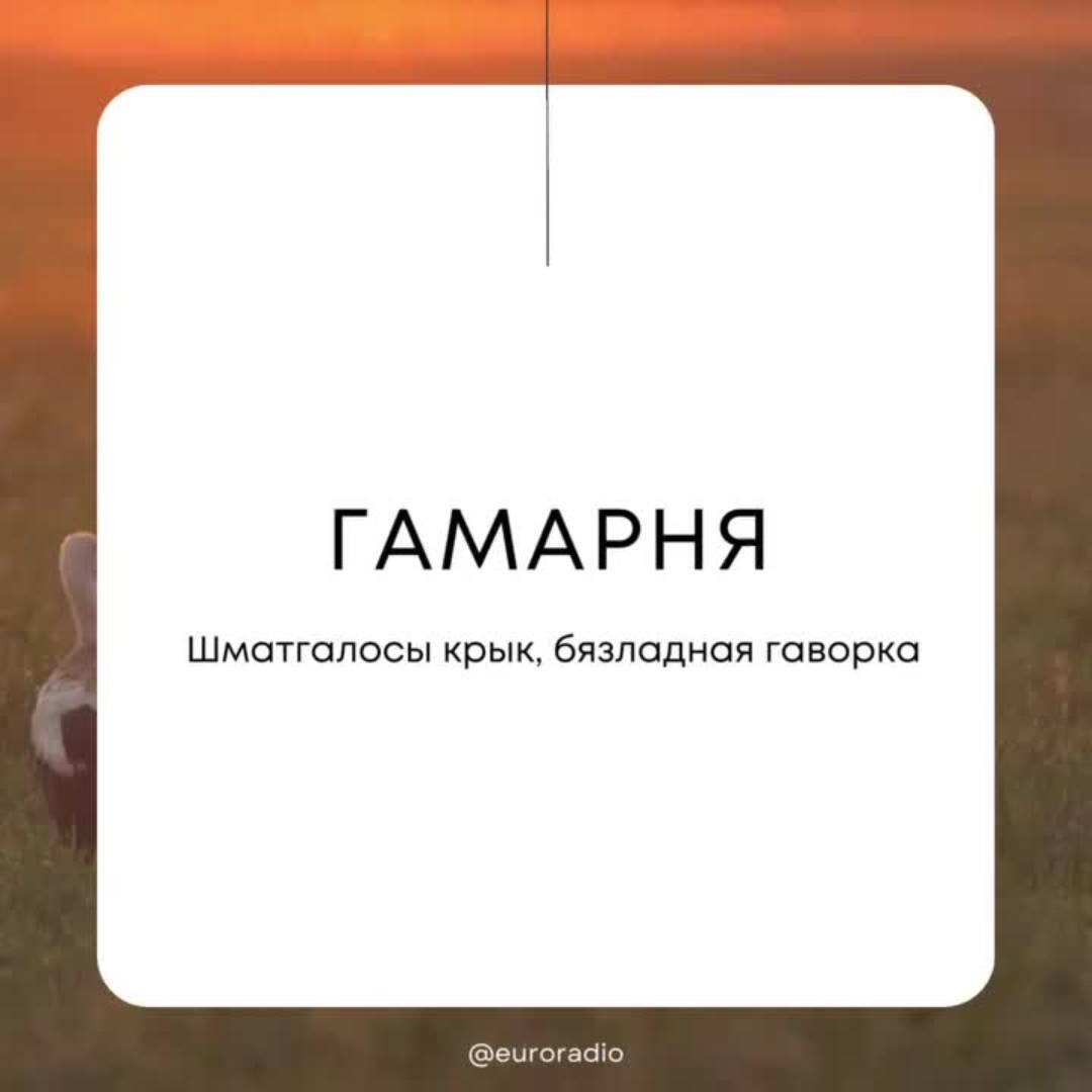 Беларускія словы, якія не маюць адпаведніка ў расейскай | Пикабу