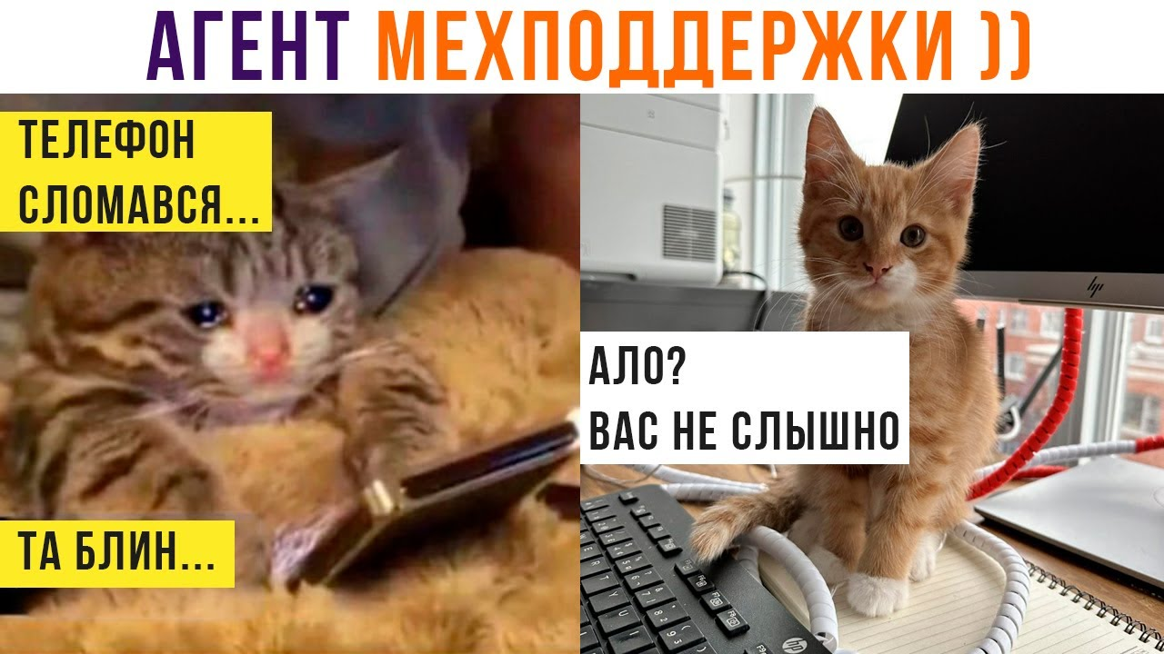 Мехподдержка | Пикабу