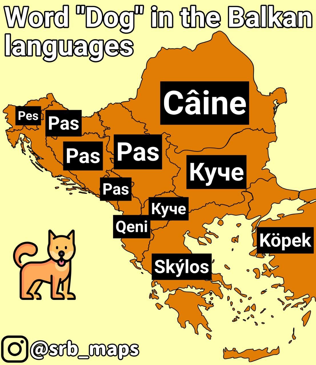 how-to-say-dog-in-balkan-languages-pikabu-monster