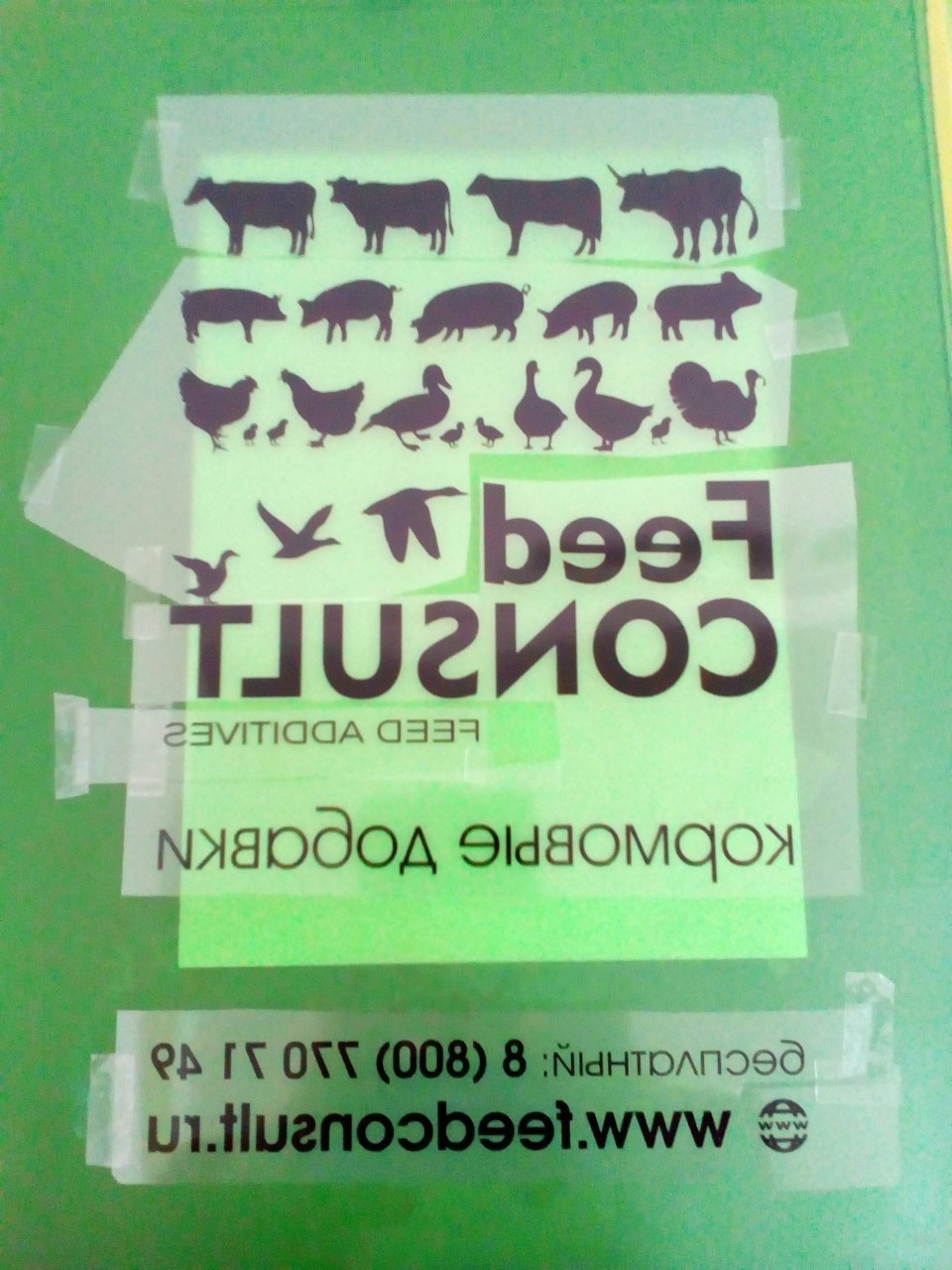 Тоже покажу фотку с работы | Пикабу
