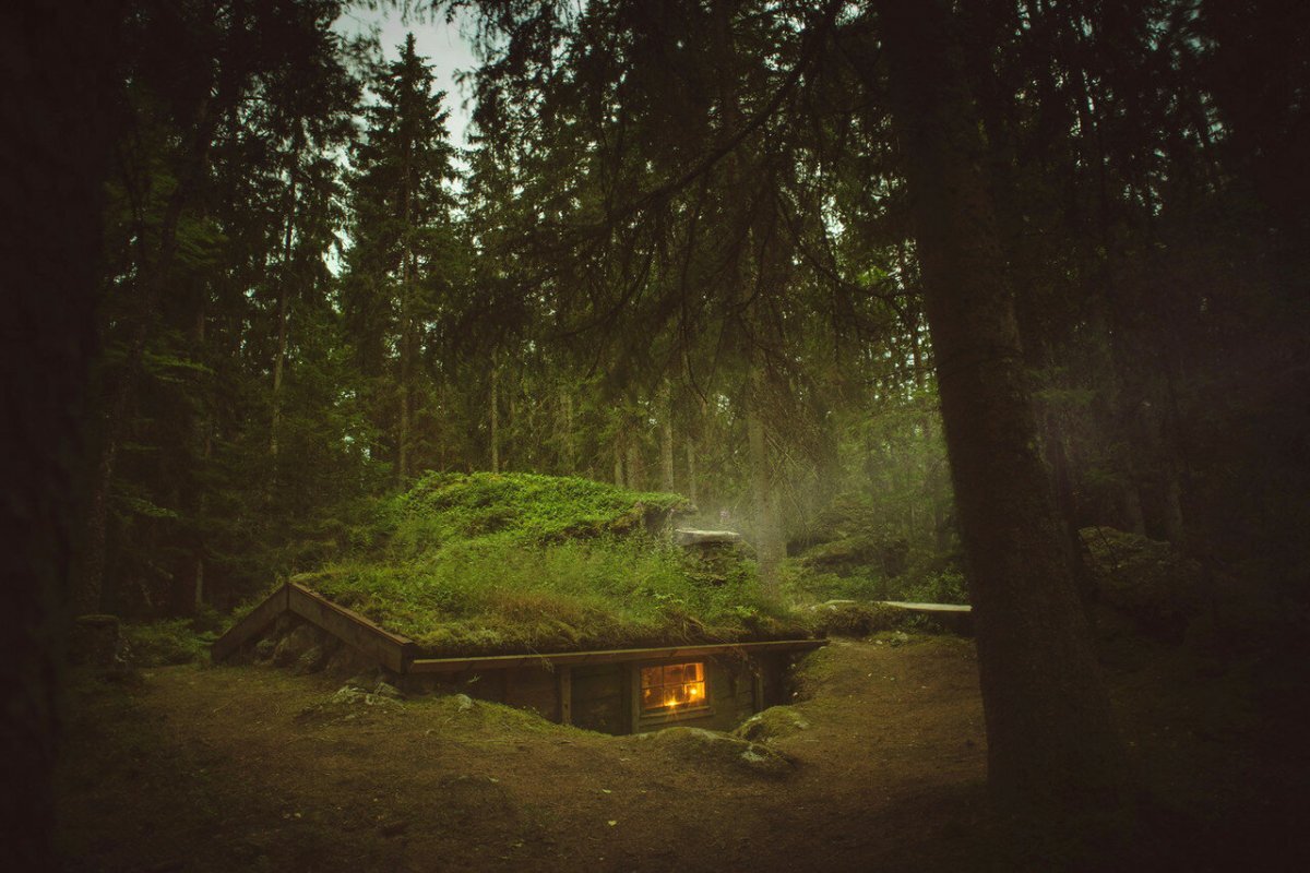 за тем домом начинается лес и так продолжалось (98) фото