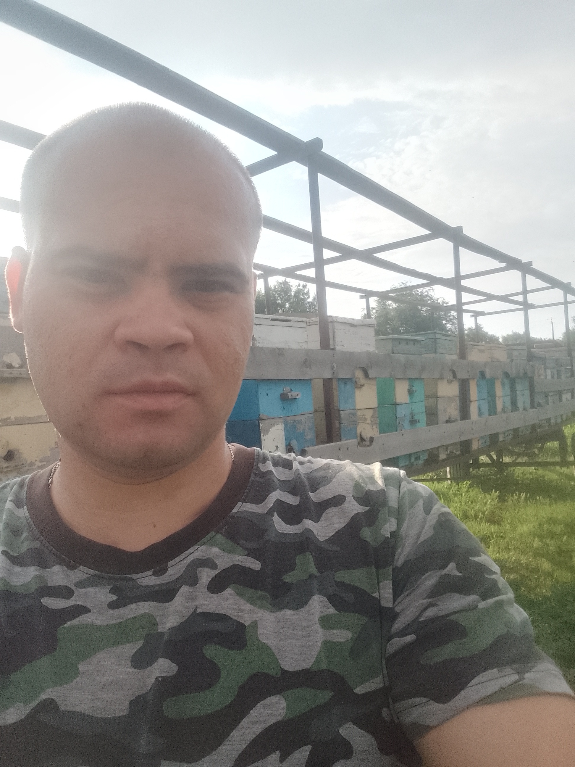 Моя работа пчеловод))) | Пикабу