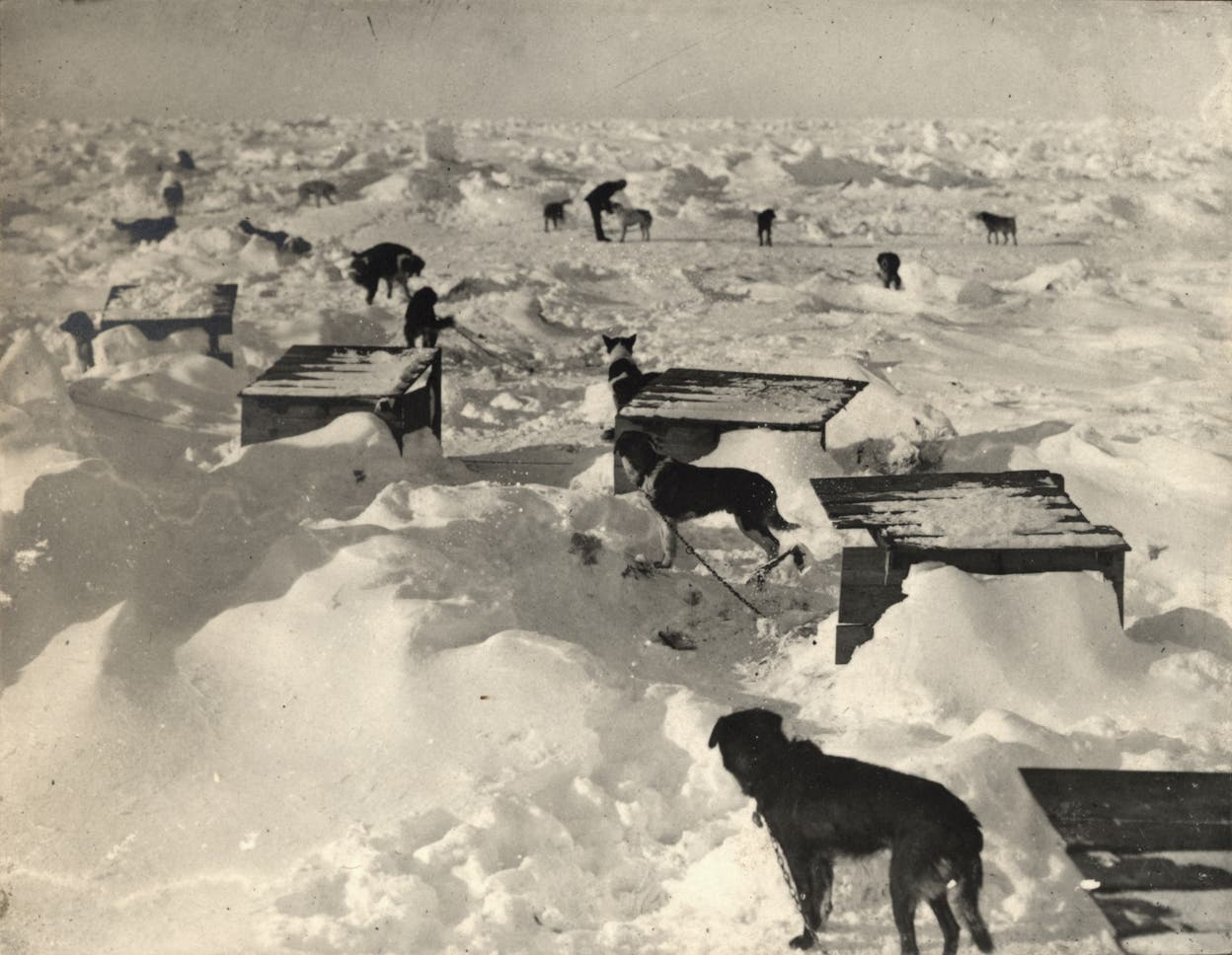 Фотографии Имперской трансантарктической экспедиции 1914—1917 годов | Пикабу