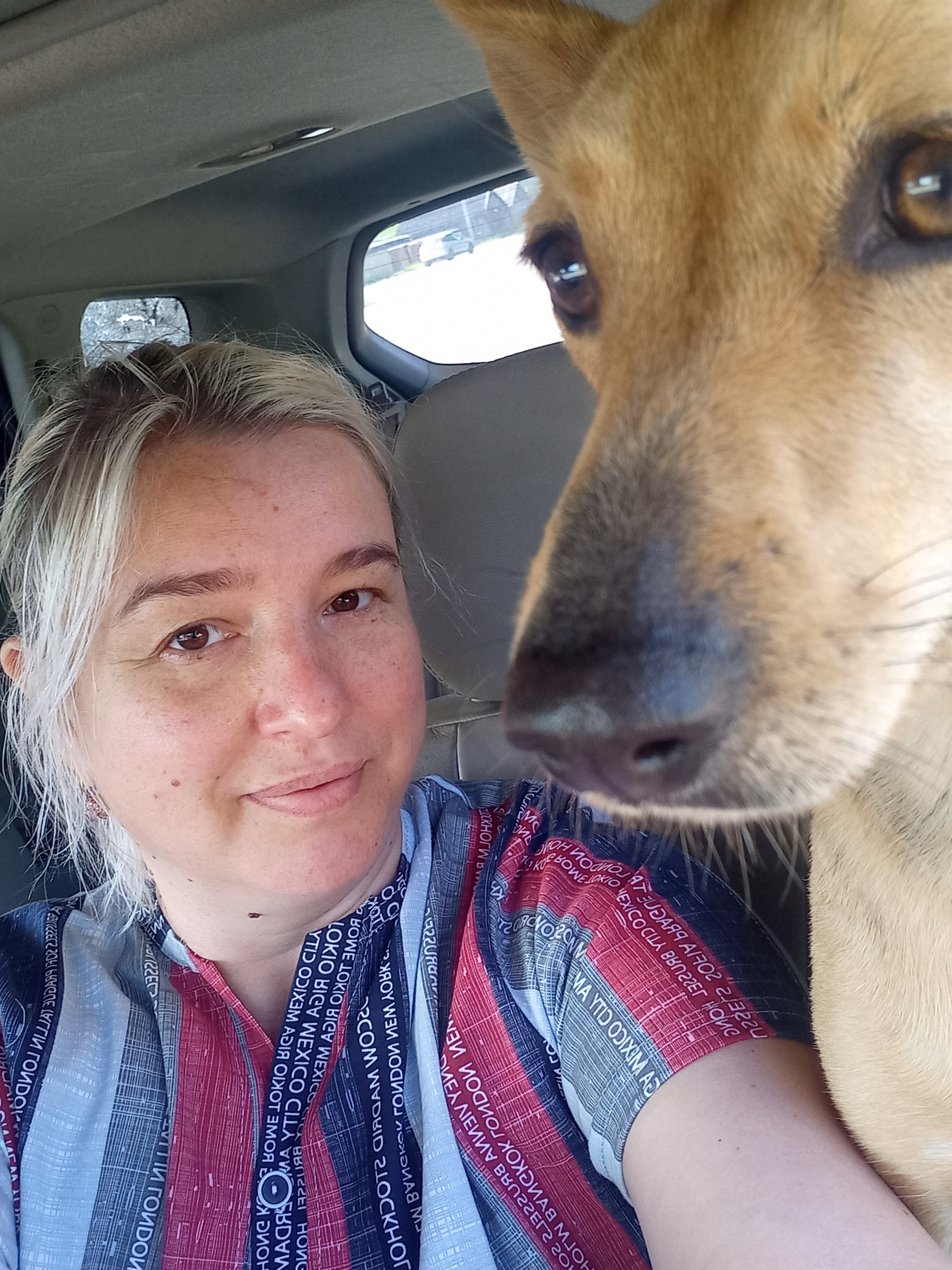 Счастливая жизнь собачья | Пикабу